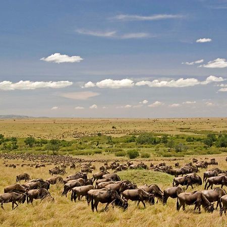 Mara Intrepids Tented Camp Talek Экстерьер фото