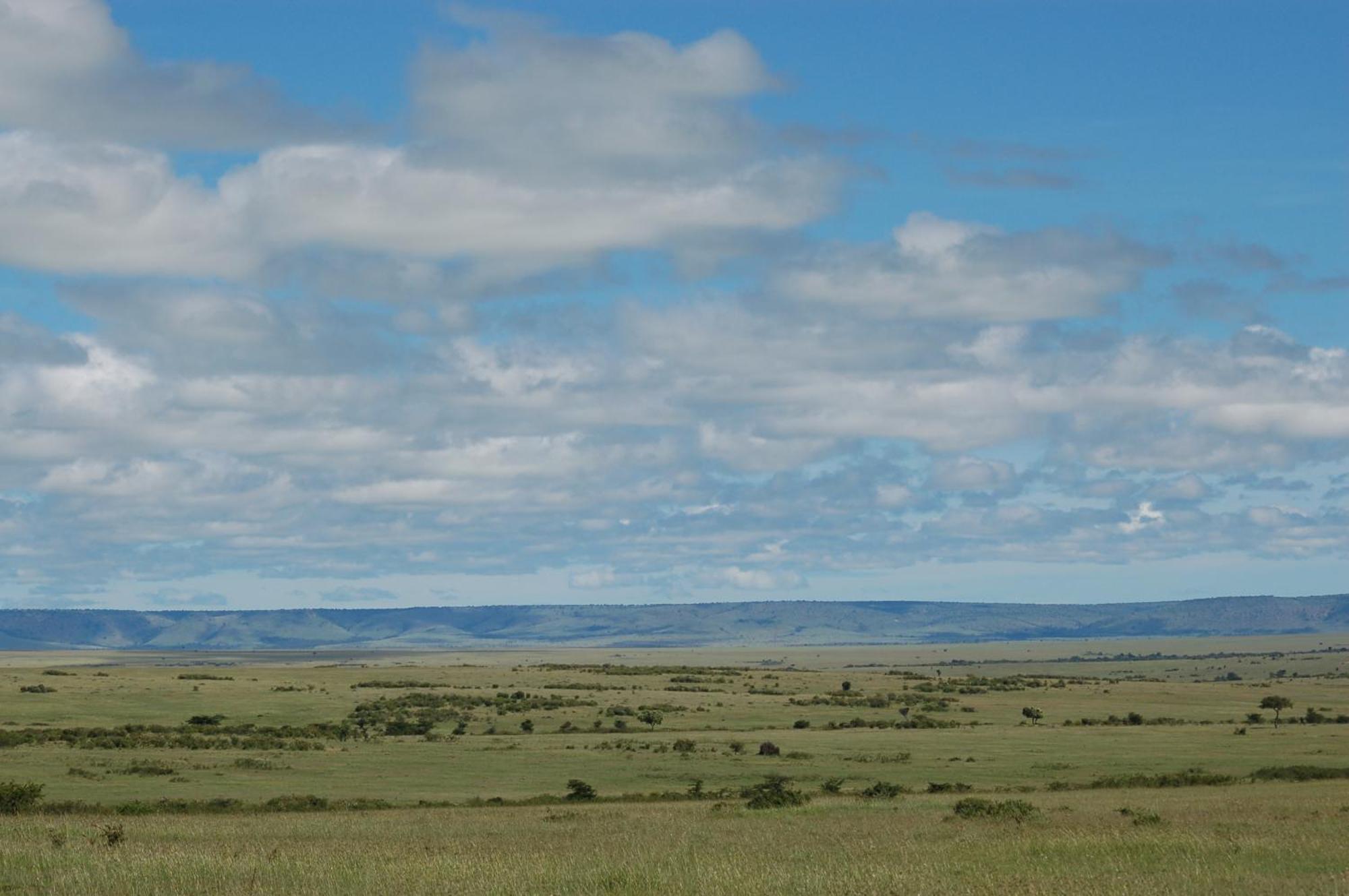 Mara Intrepids Tented Camp Talek Экстерьер фото