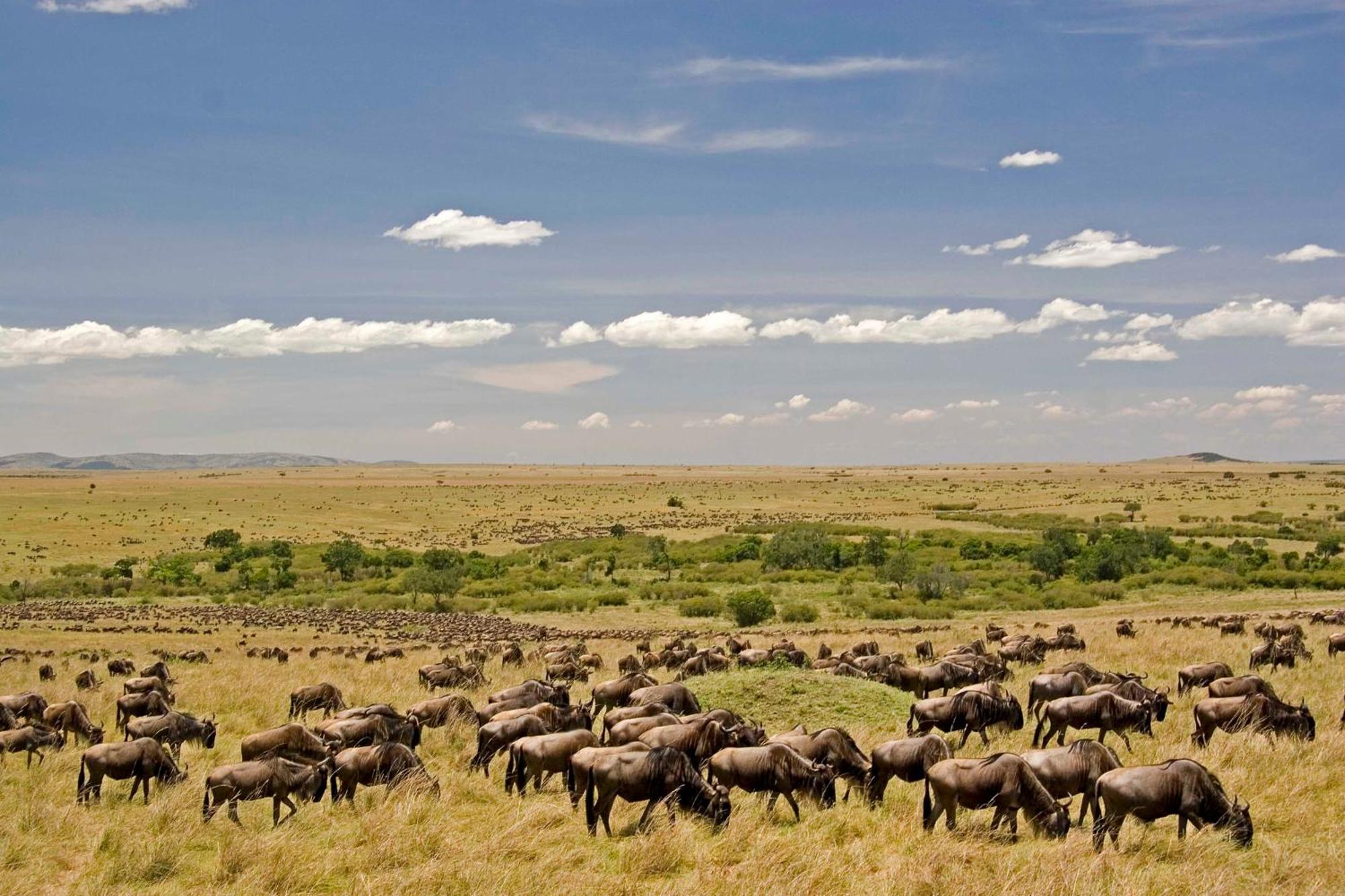 Mara Intrepids Tented Camp Talek Экстерьер фото