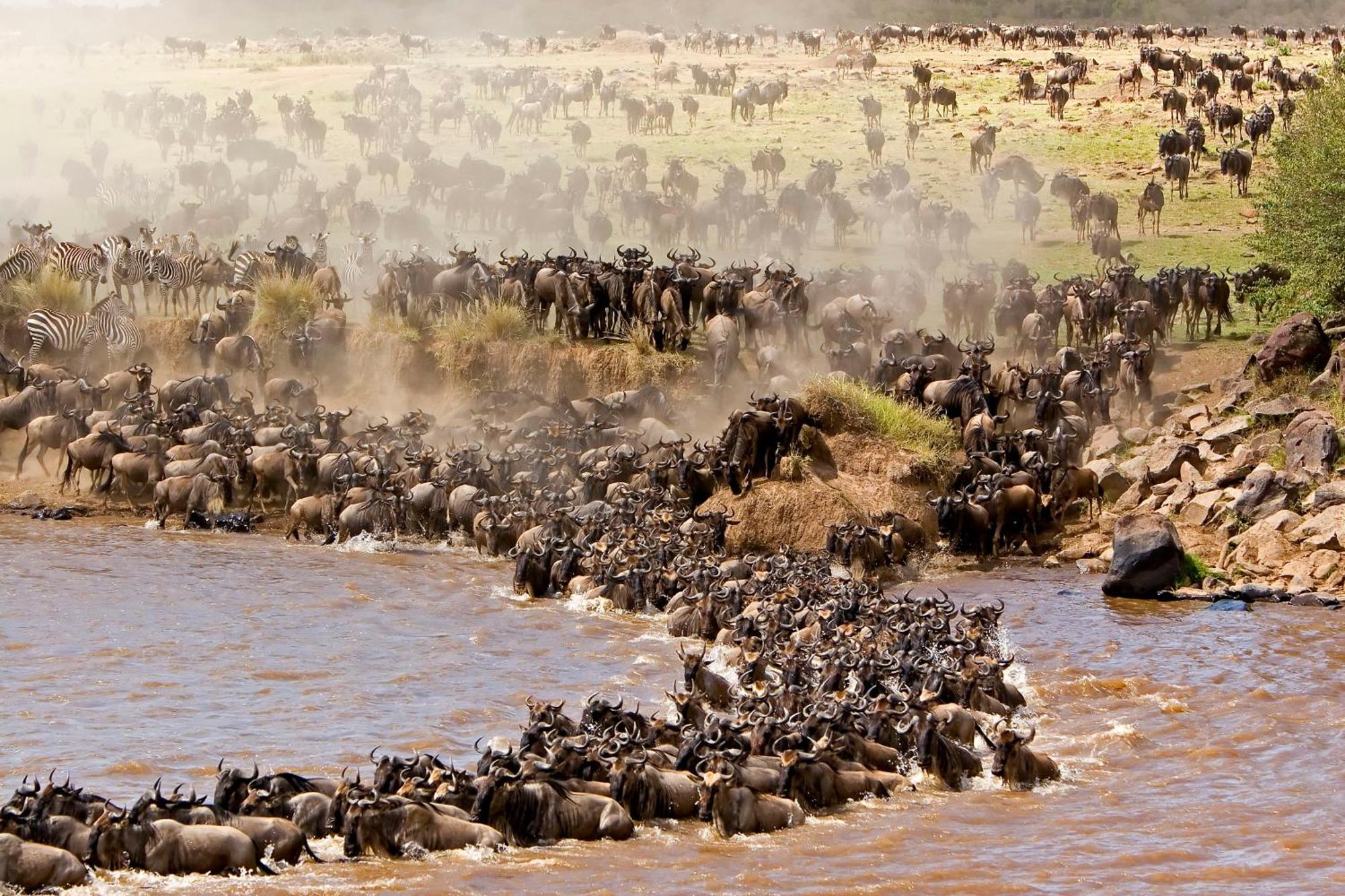 Mara Intrepids Tented Camp Talek Экстерьер фото